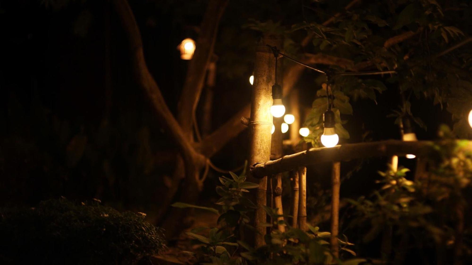 Peaceful Refuge Homestay ニンビン エクステリア 写真