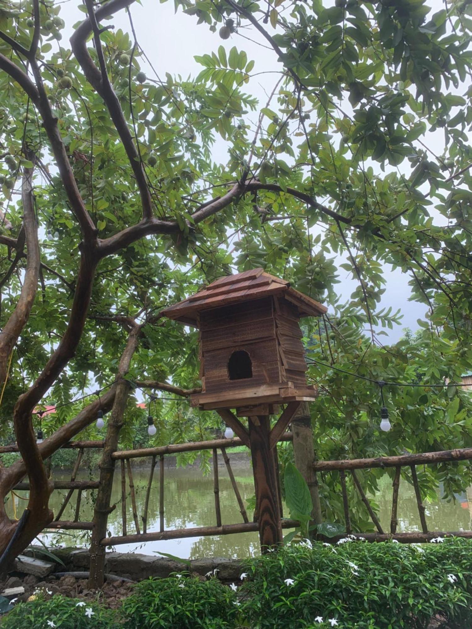 Peaceful Refuge Homestay ニンビン エクステリア 写真