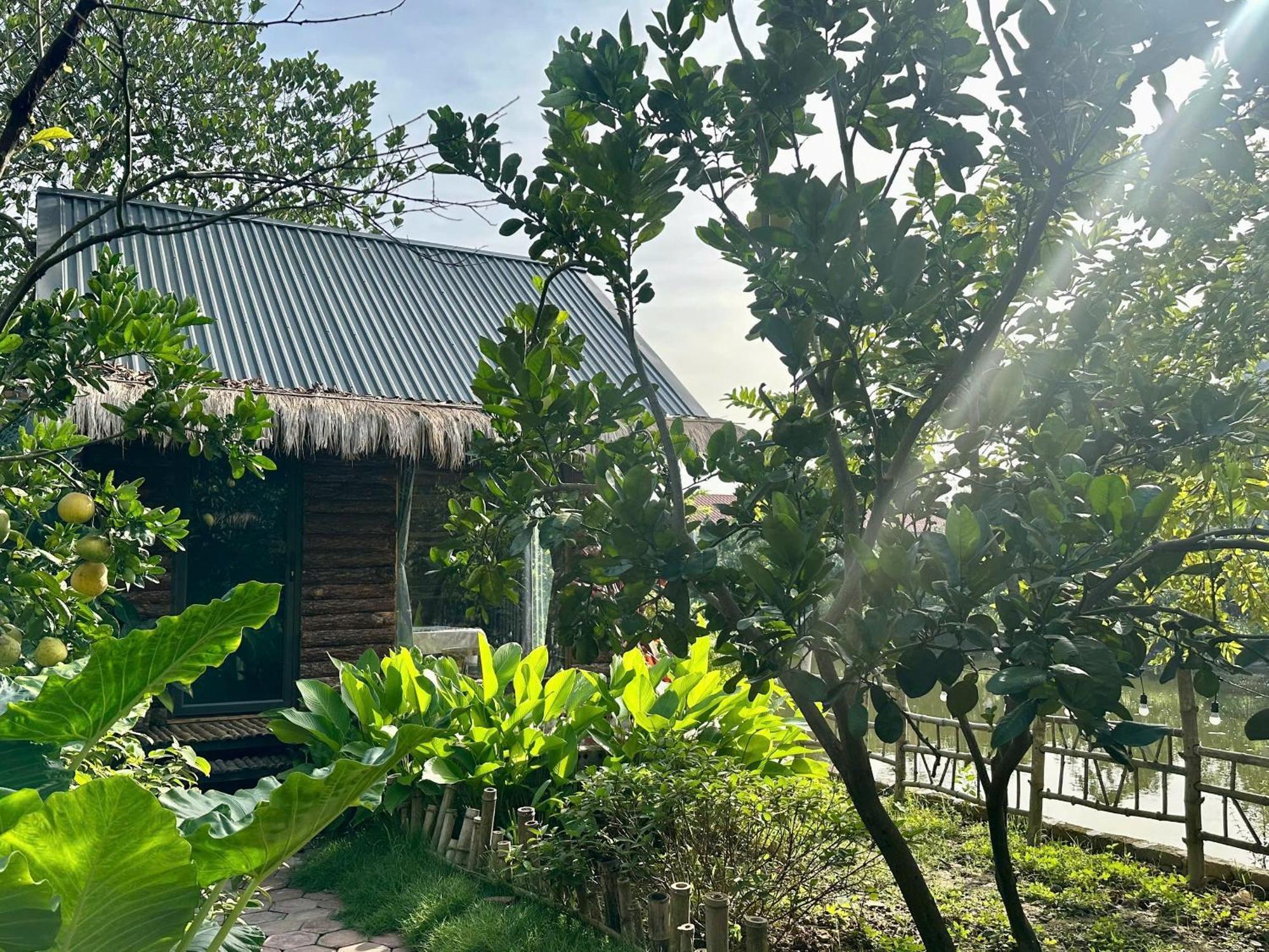 Peaceful Refuge Homestay ニンビン エクステリア 写真